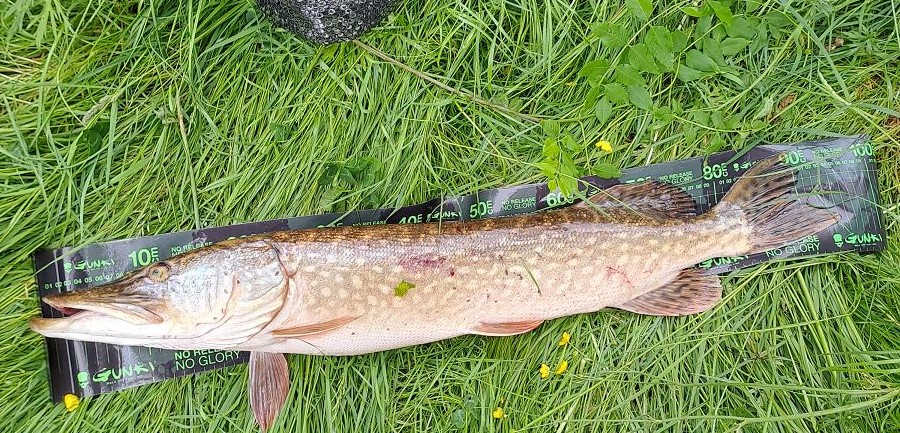 95 cm sur la toise