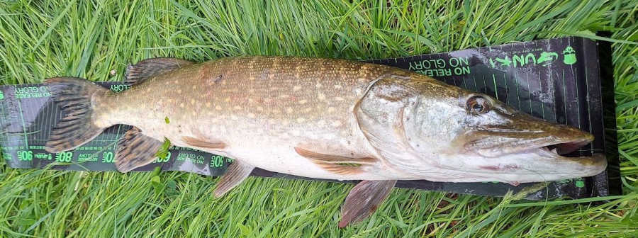 bnrochet de 86 cm