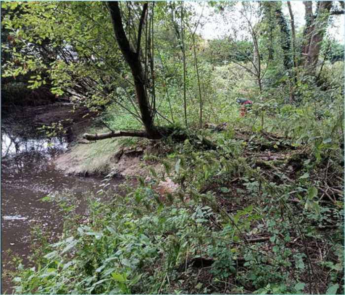 nettoyage ruisseau la Flachausière avant
