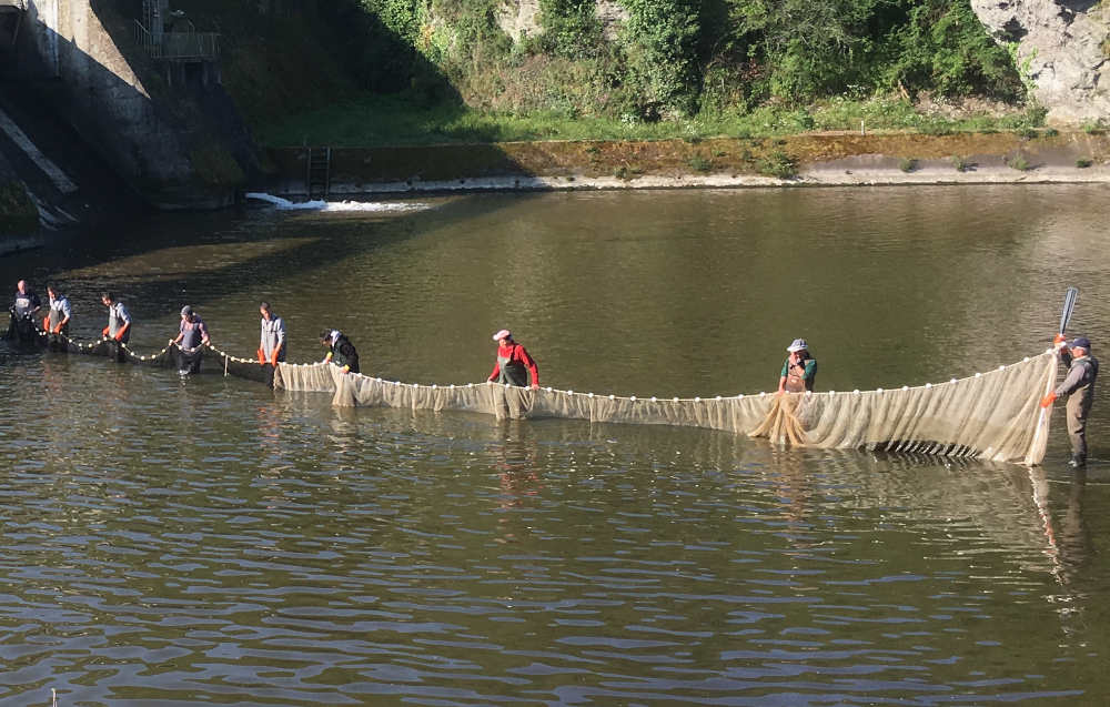 pêche de sauvegarde