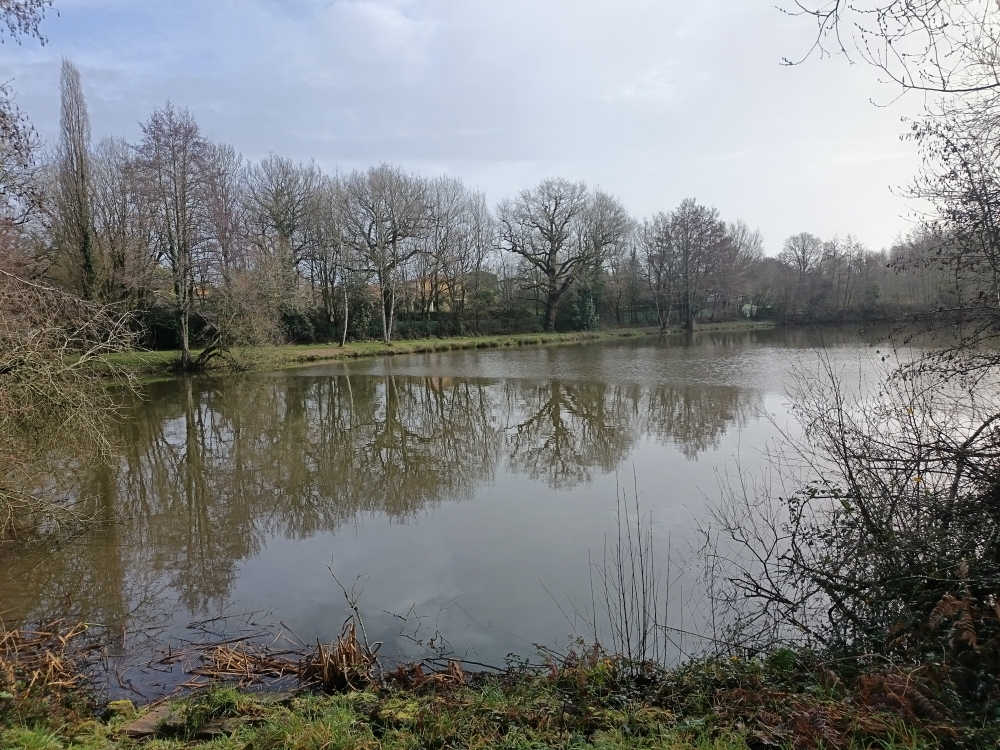 étang du Martin Pêcheur