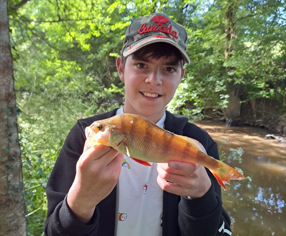 une autre jolie perche