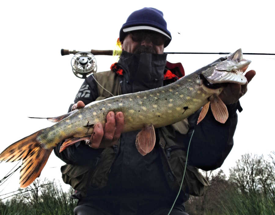 premier brochet 2026