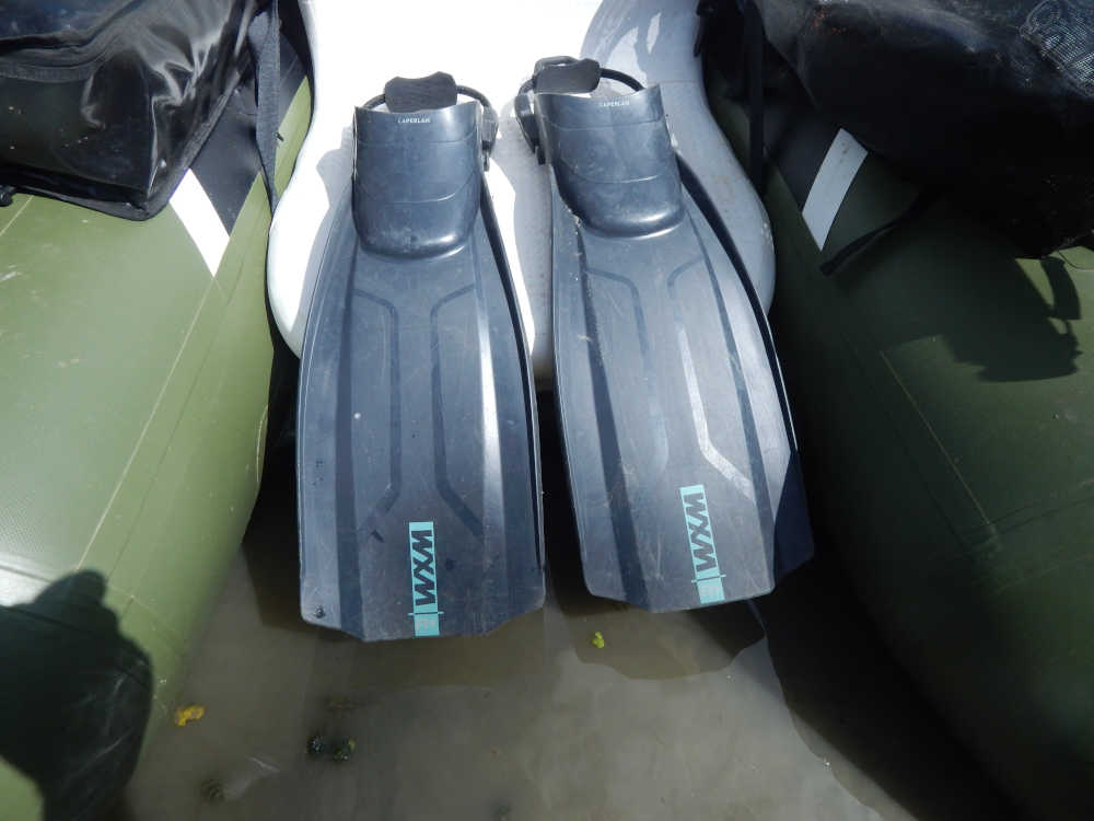 palmes pour float-tube